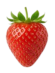 Fresh strawberry